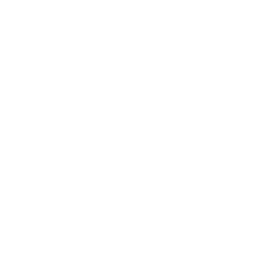 WhatsApp Glyph in weiß